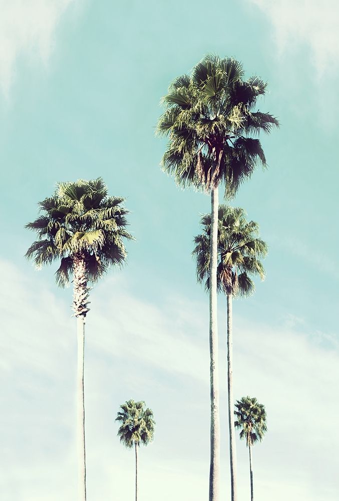 Vintage Palm