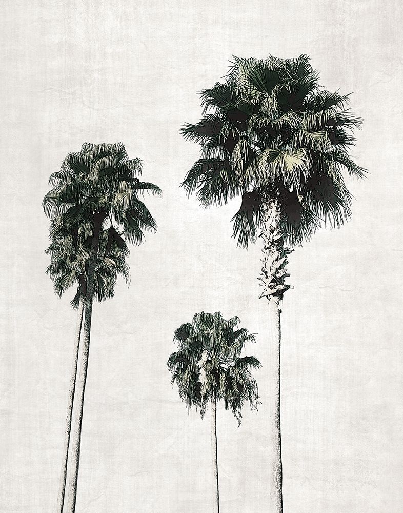 Sketchbook Palm