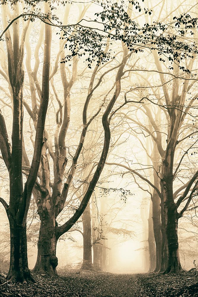 Silence