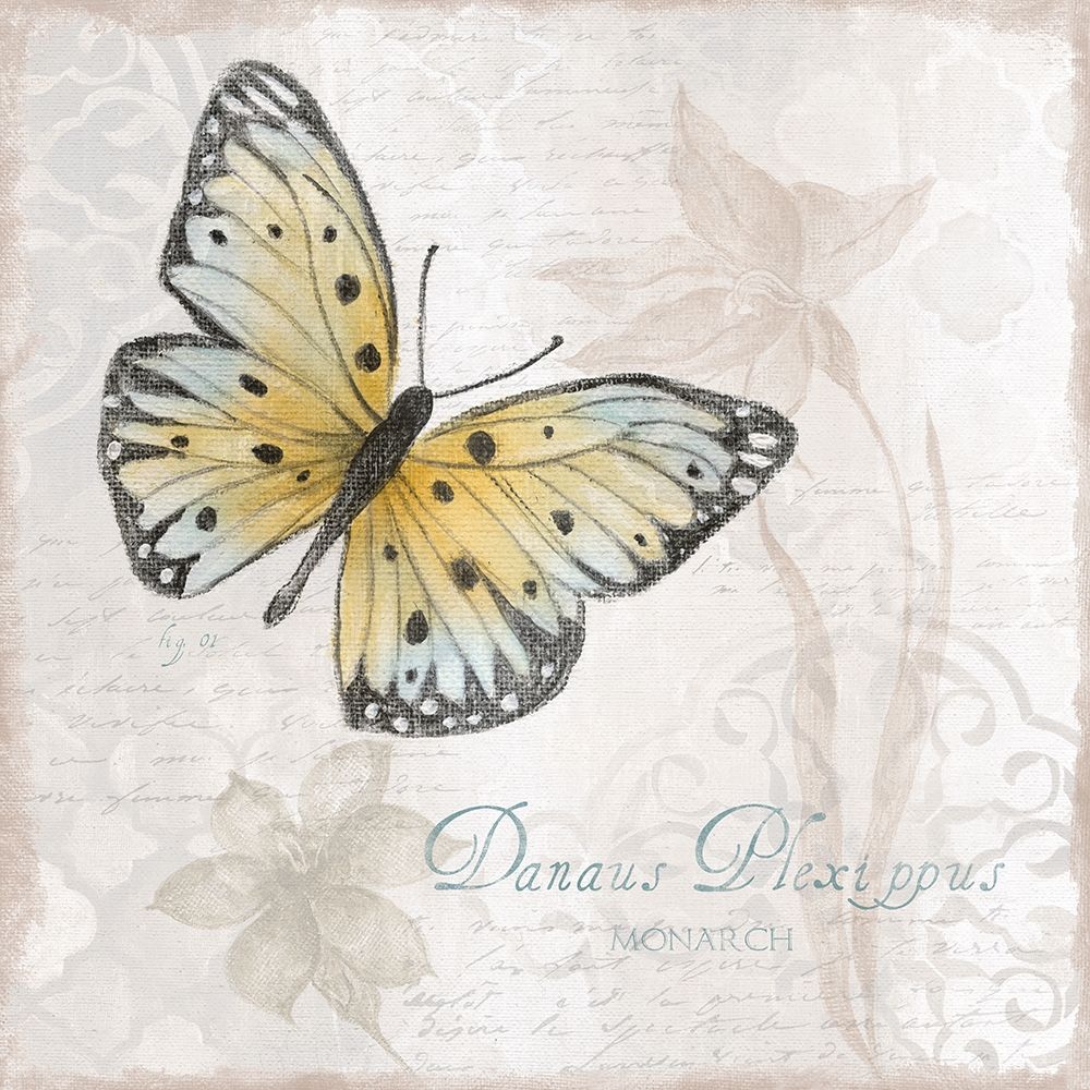 Postcard Butterfly I