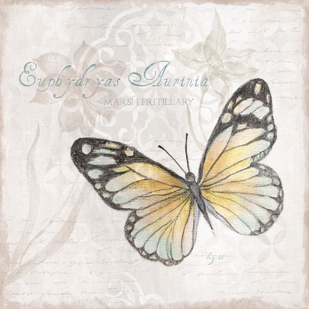 Postcard Butterfly II