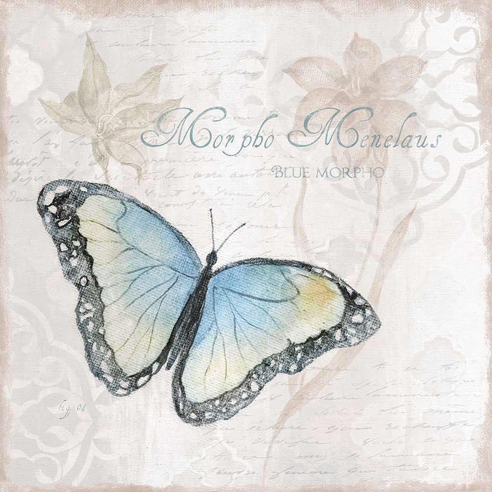 Postcard Butterfly III