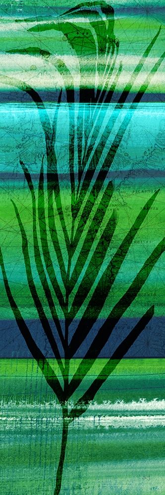 Seychelles Palm II