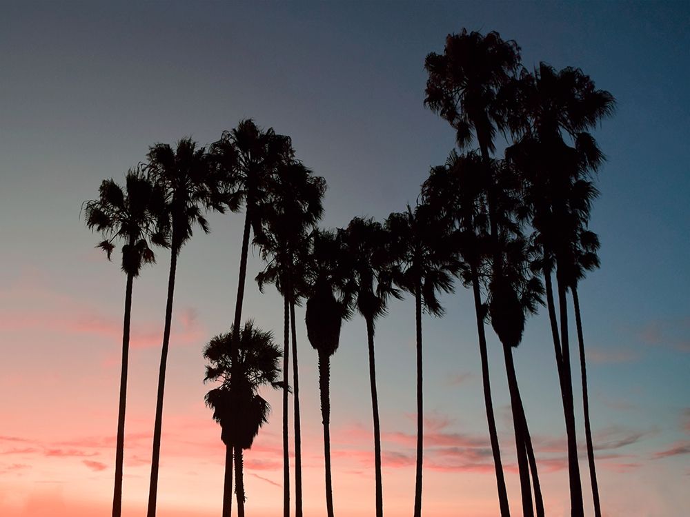 Venice Beach