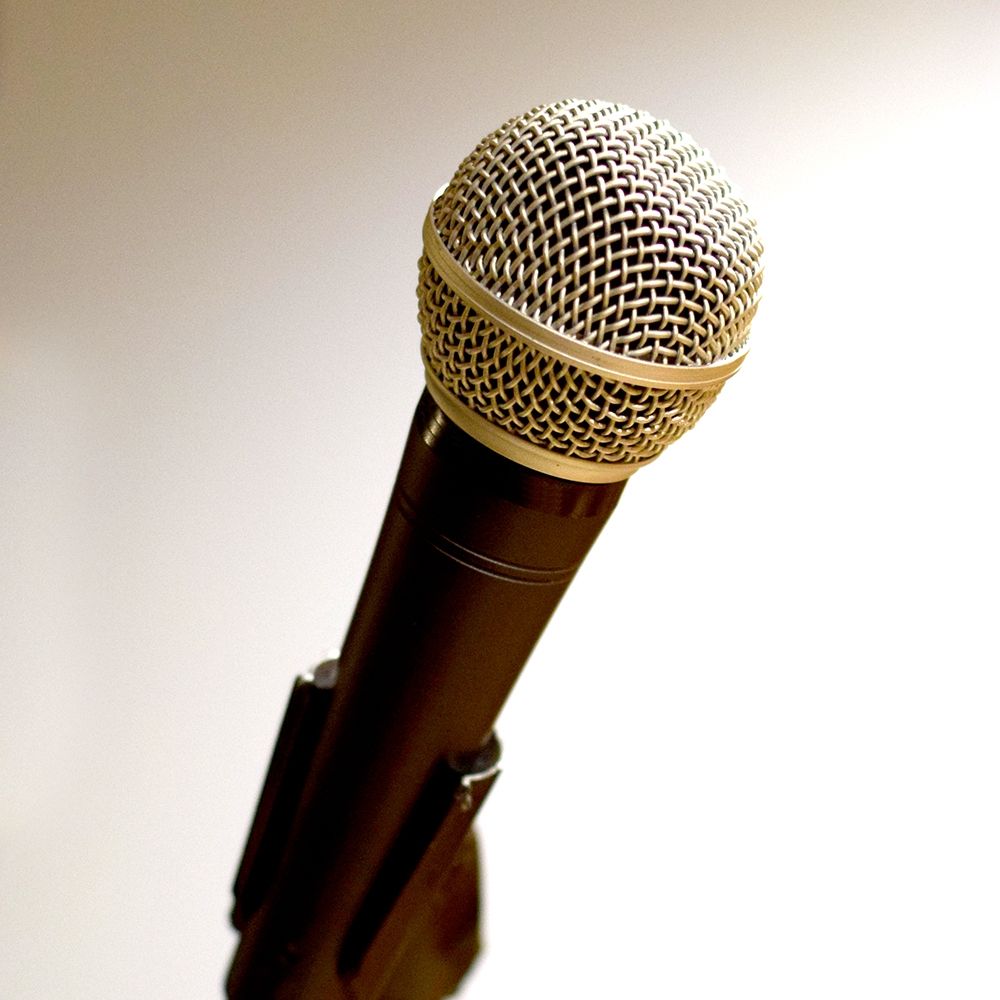 Mic II