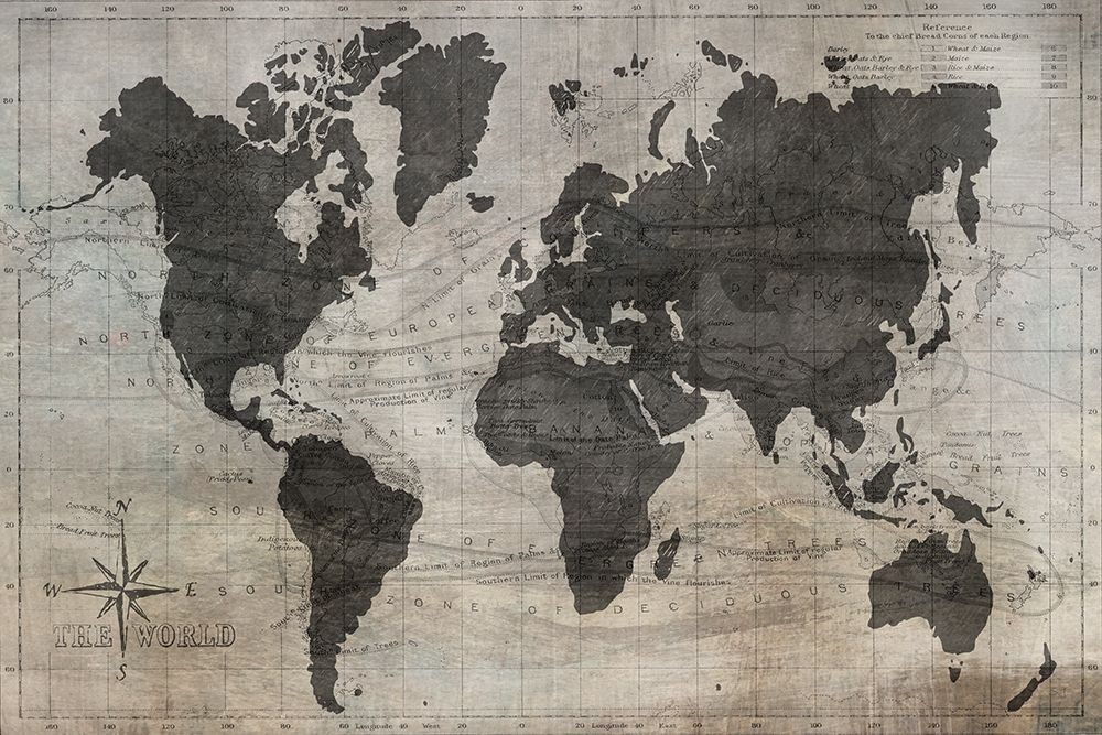 World Map