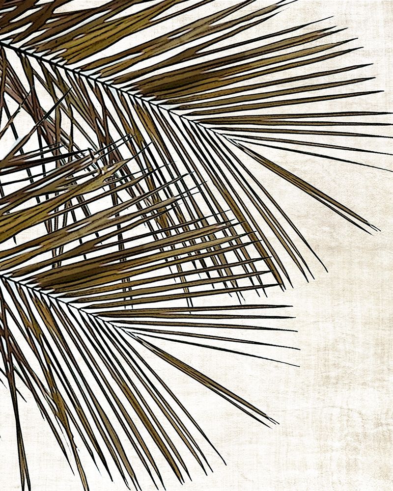 Palm I