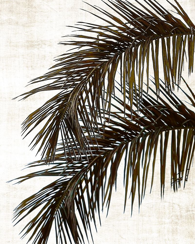 Palm II