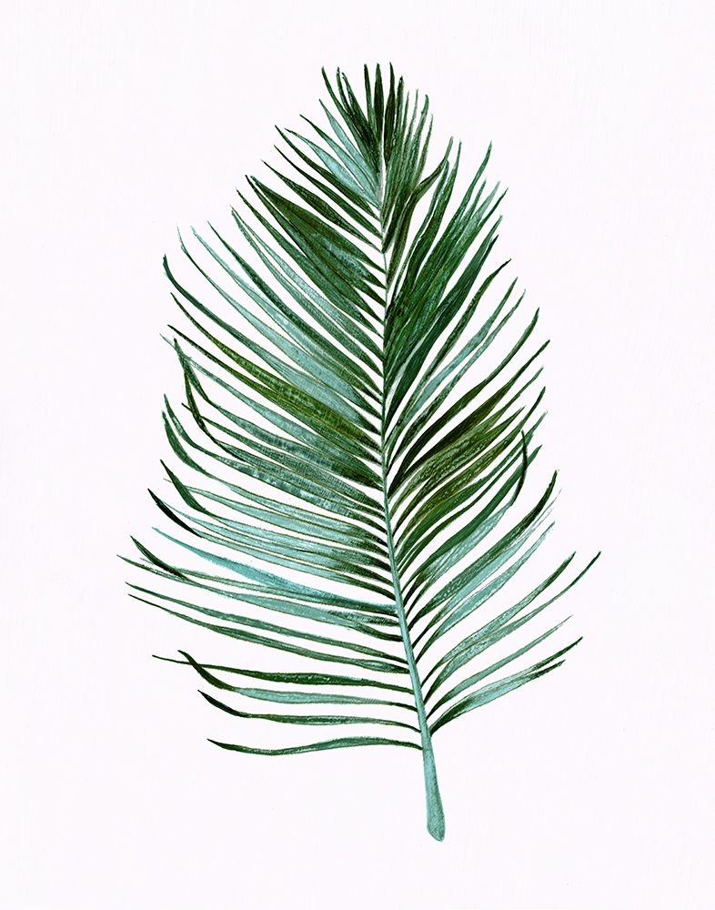 Sage Frond I