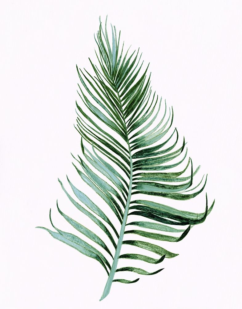 Sage Frond II