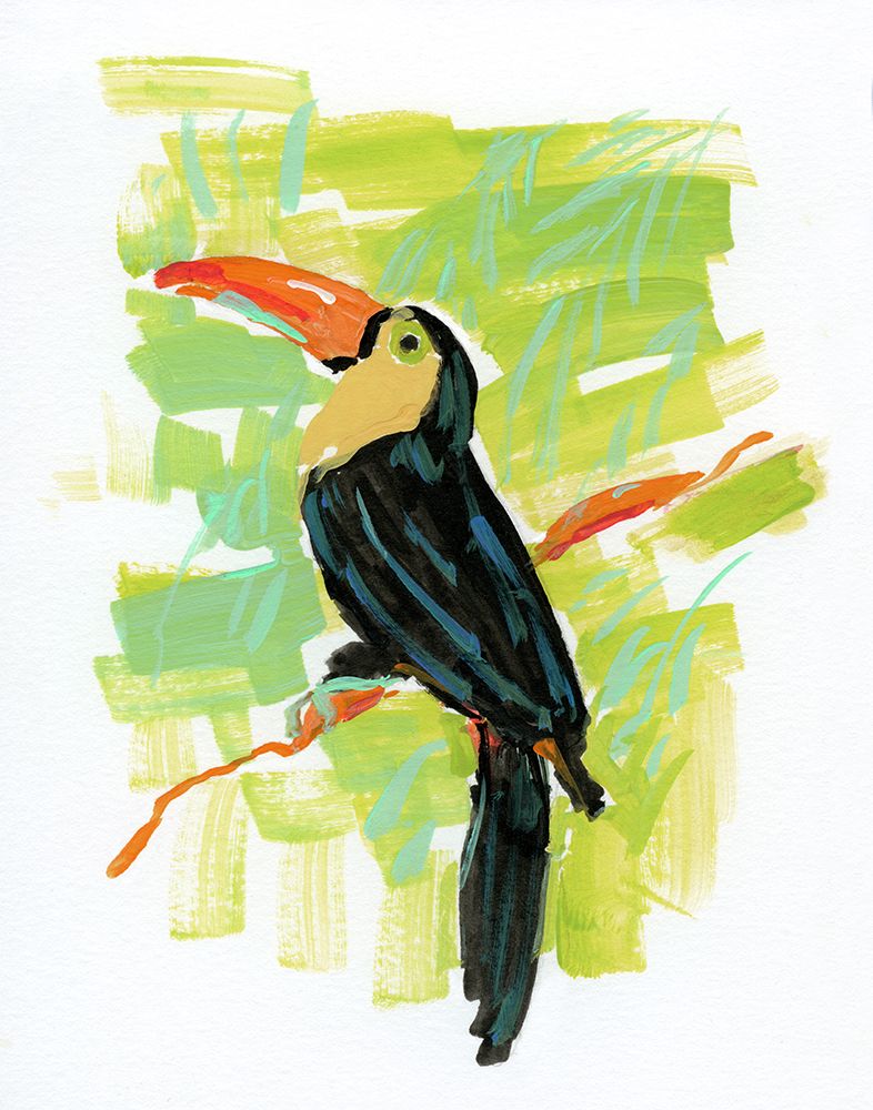 Exotic Toucan