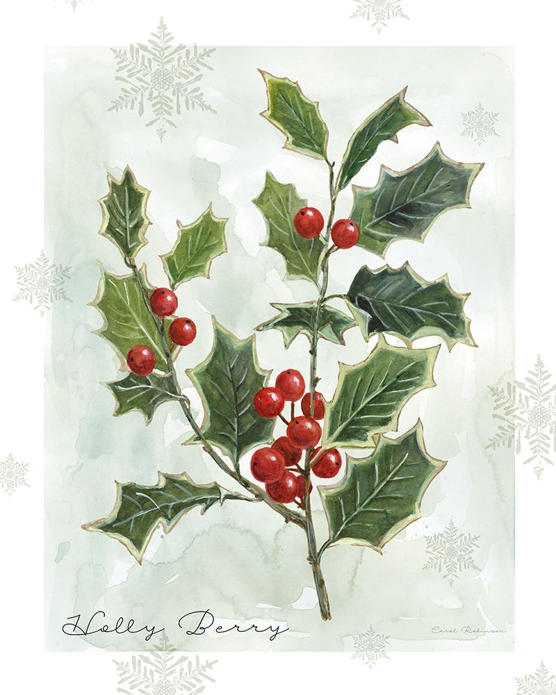 Botanical Holly Berry