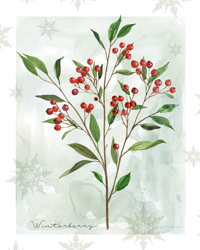 Botanical Winterberry