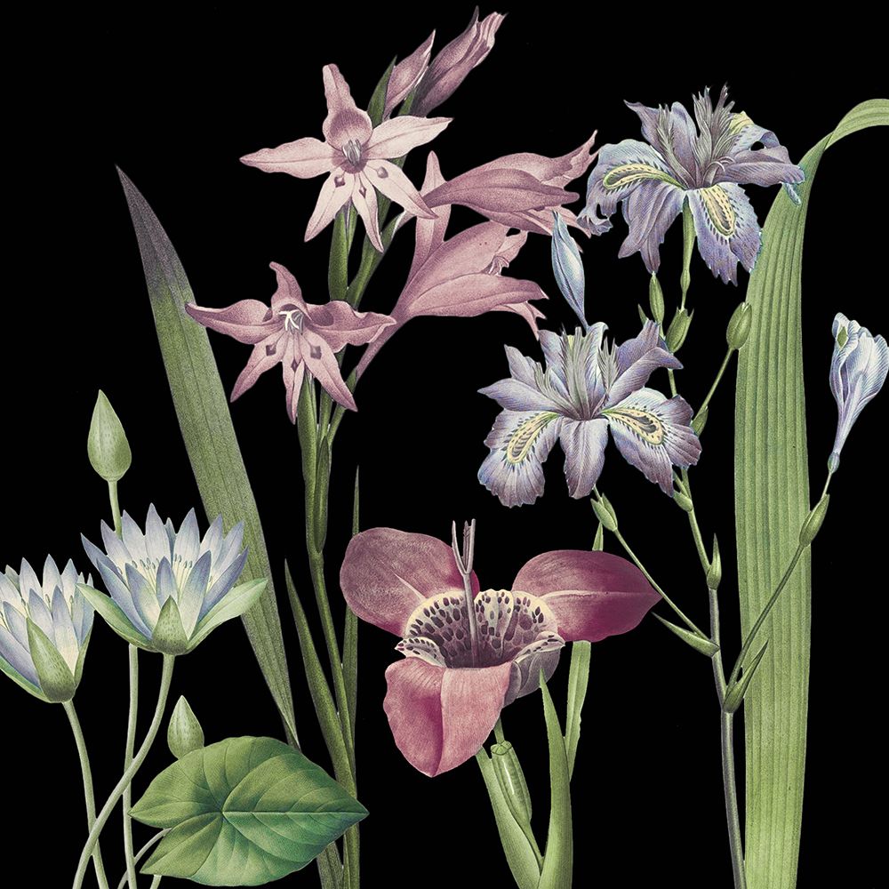 Dusty Plum Botanical II