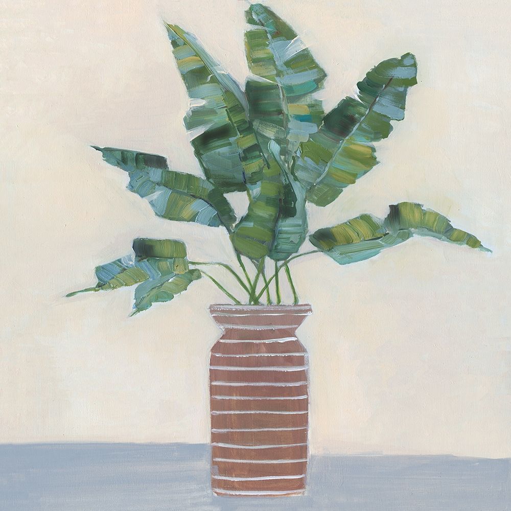 Banana Palm I