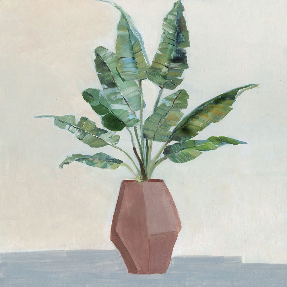Banana Palm II