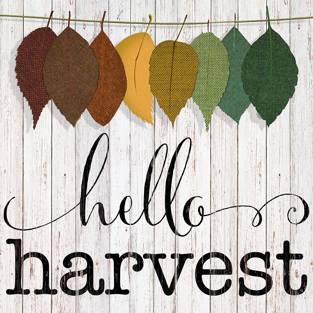 Hello Harvest