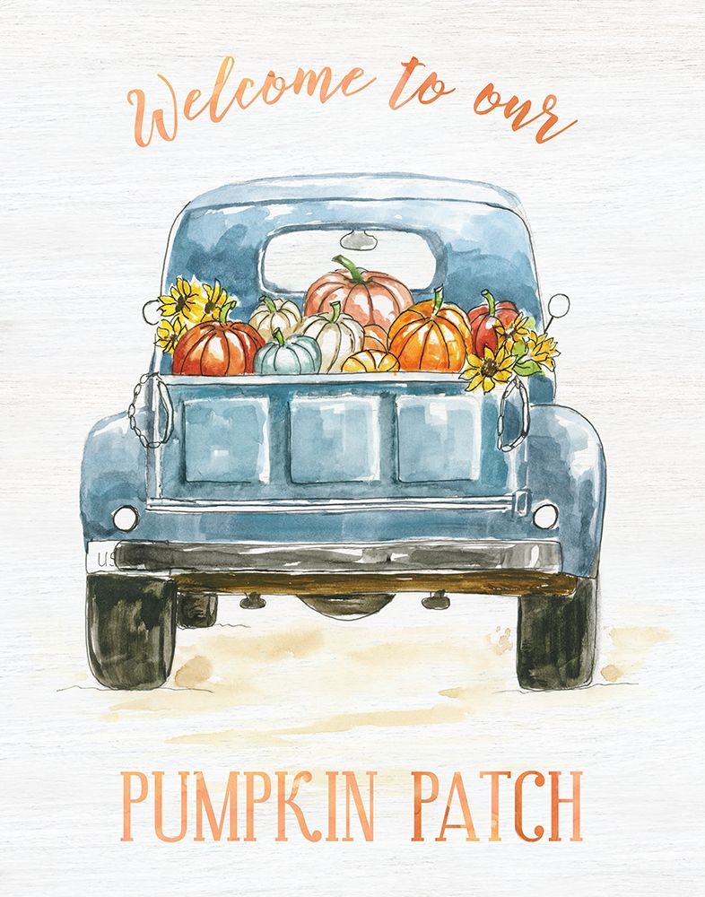 Pumpkin Patch