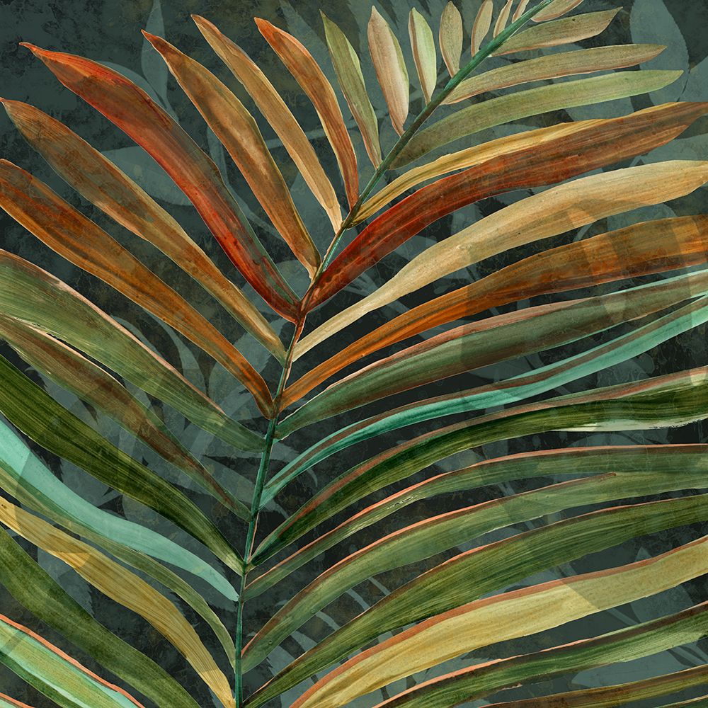 Tropical Patterns