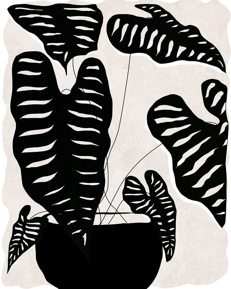 Black and White Potted Plant II