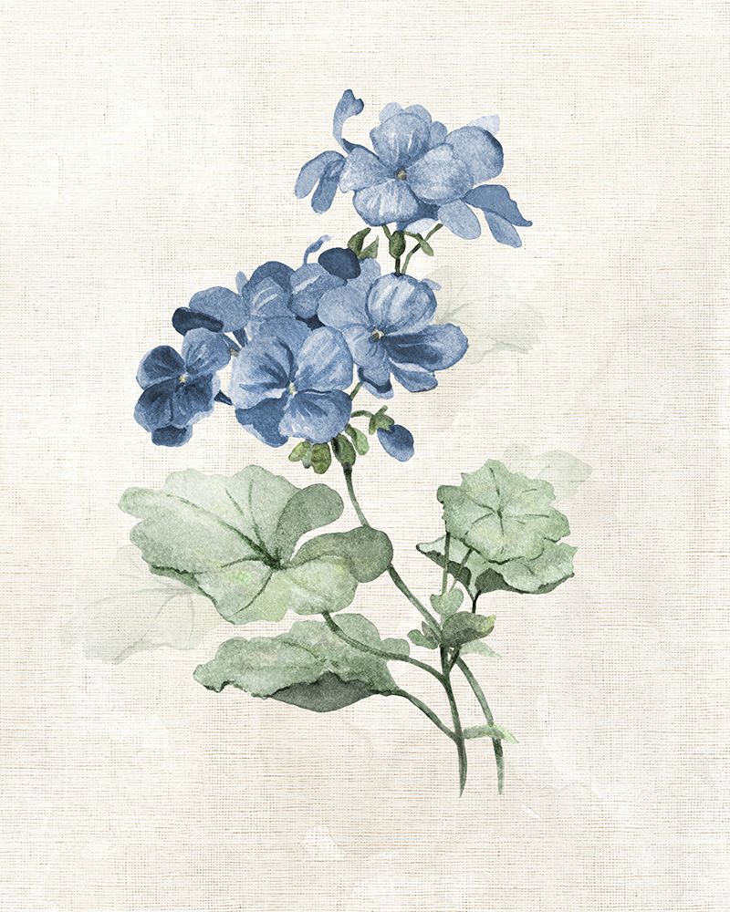 Farmhouse Periwinkle I