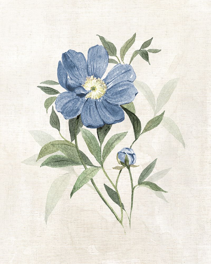 Farmhouse Periwinkle III