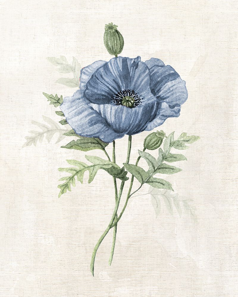 Farmhouse Periwinkle IV