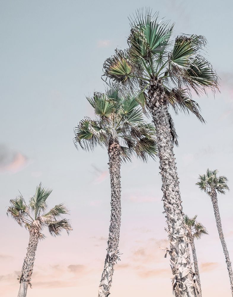 Palms Up I