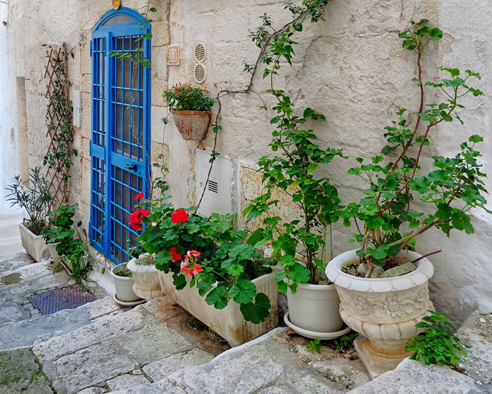 Front Door Oasis