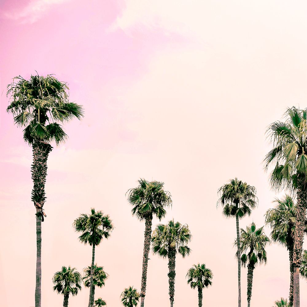 Laguna Beach I