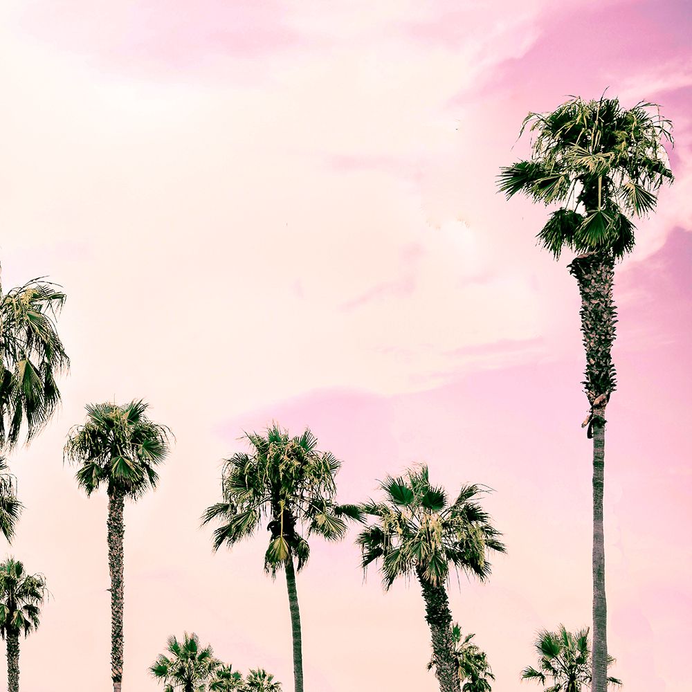 Laguna Beach II