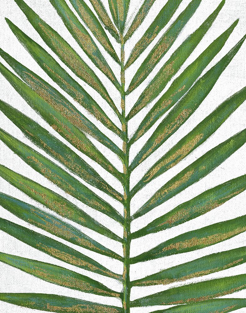 Summer Palm