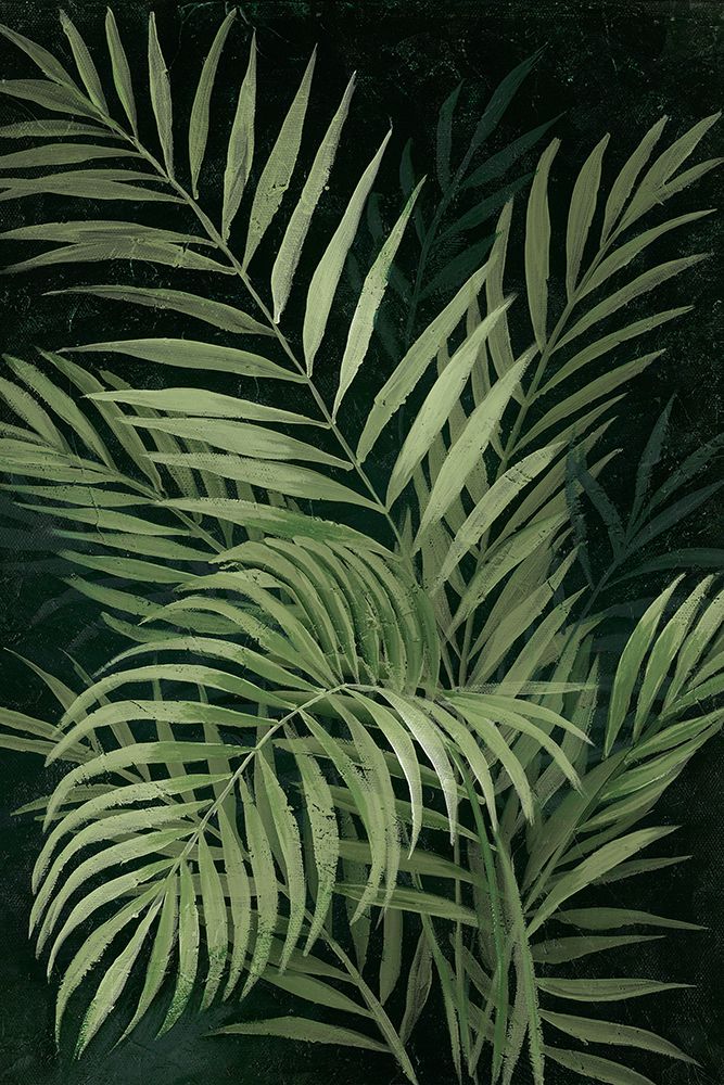 Island Dream Palms II