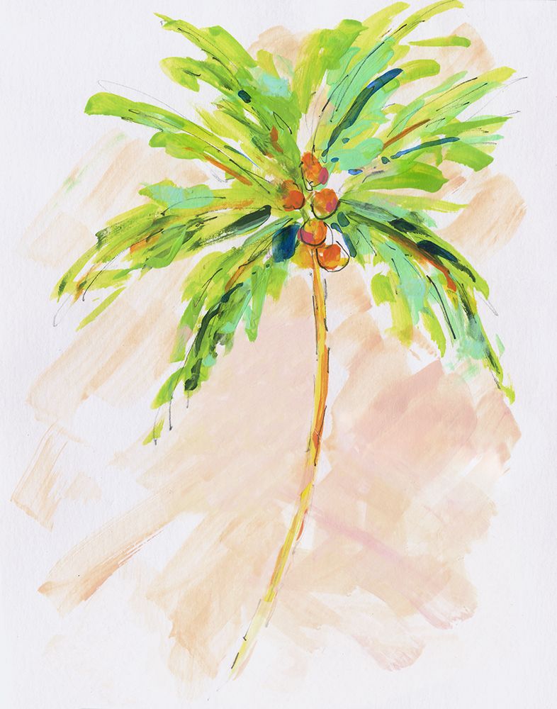 Coconut Palm II