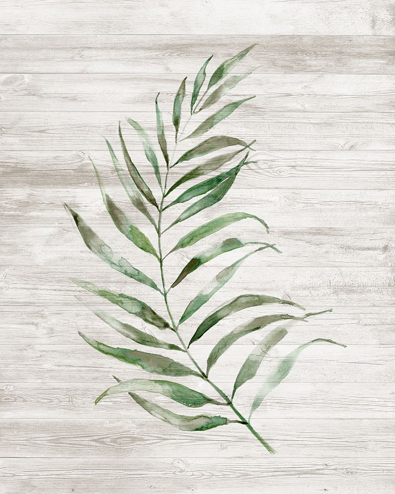 Tropic Frond I