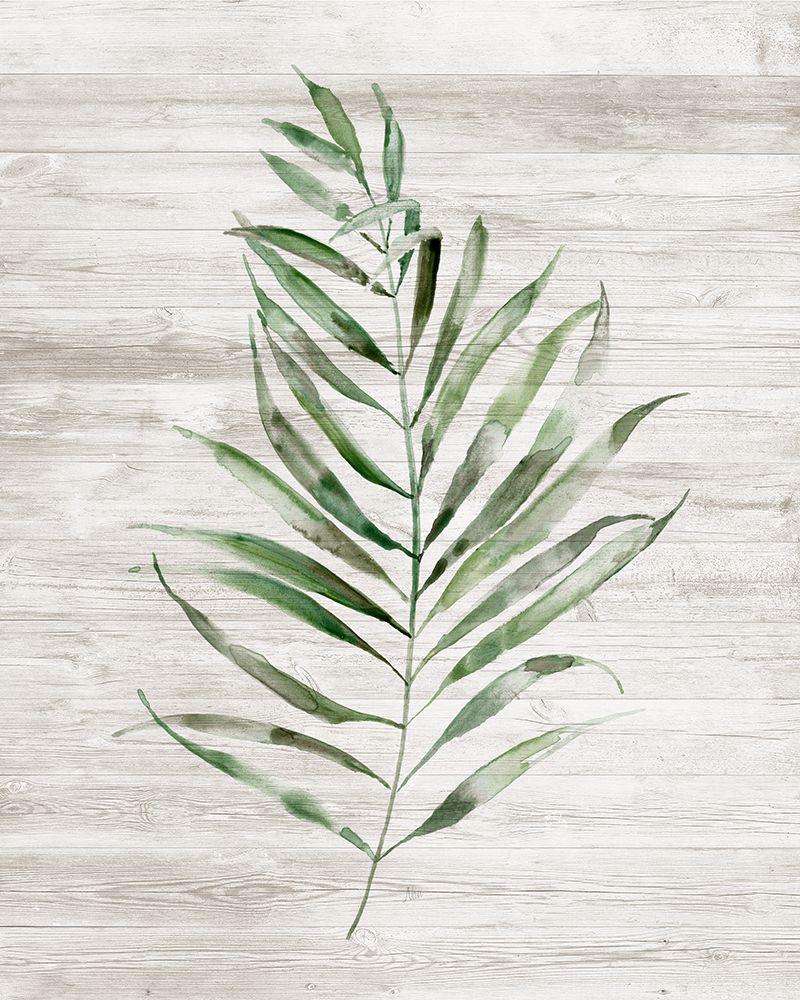 Tropic Frond II