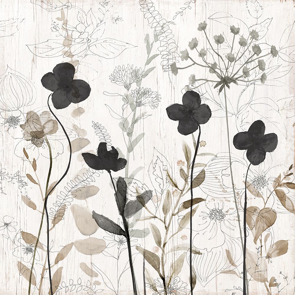 Sketchbook Nature II