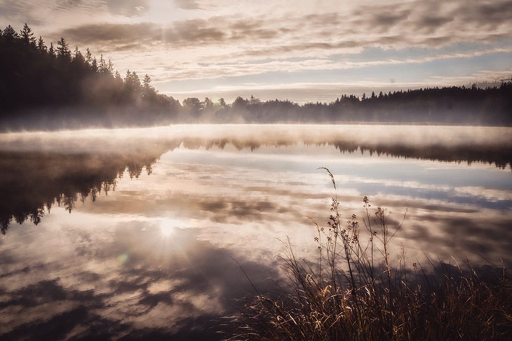 Daybreak