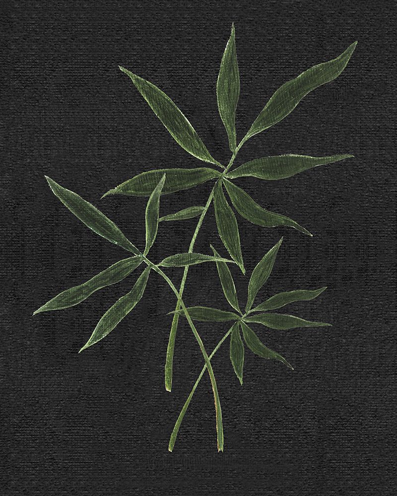 Simple Tropics II