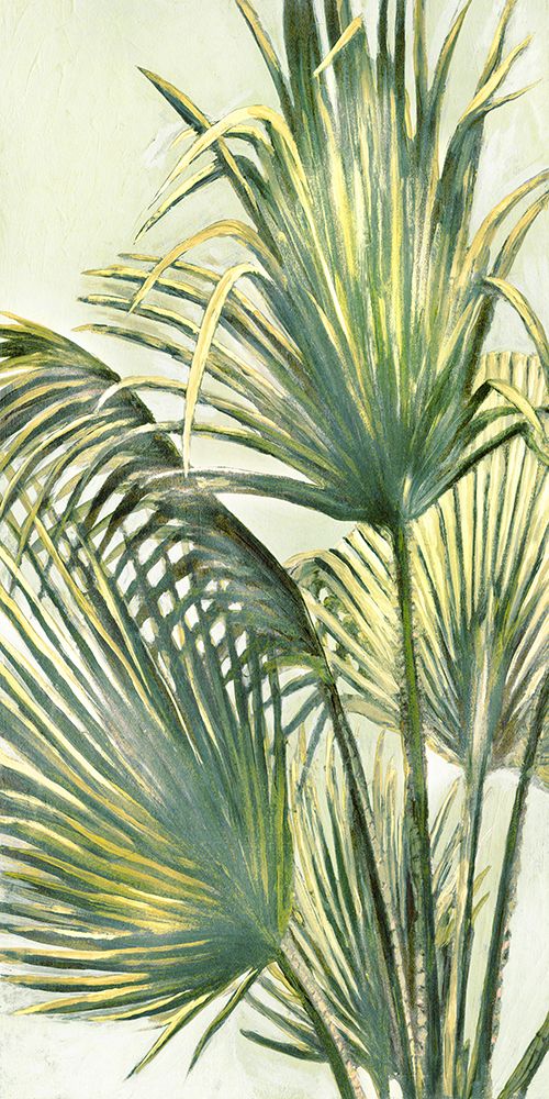 Summer Breeze II