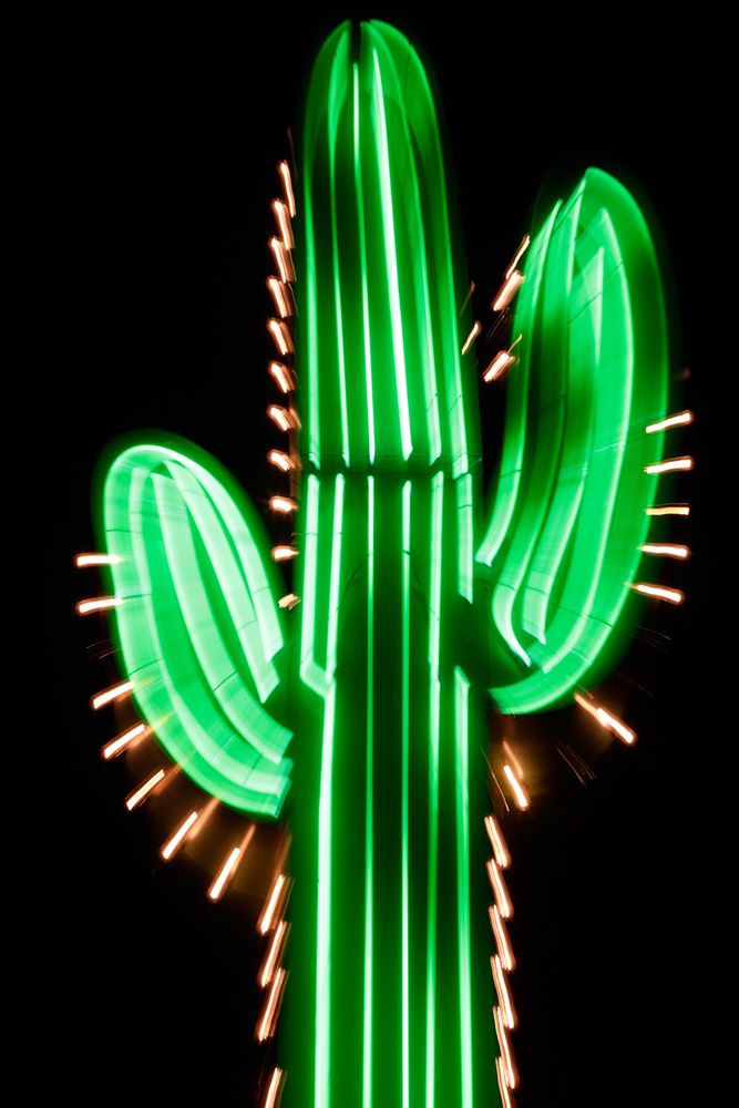 Neon Cactus