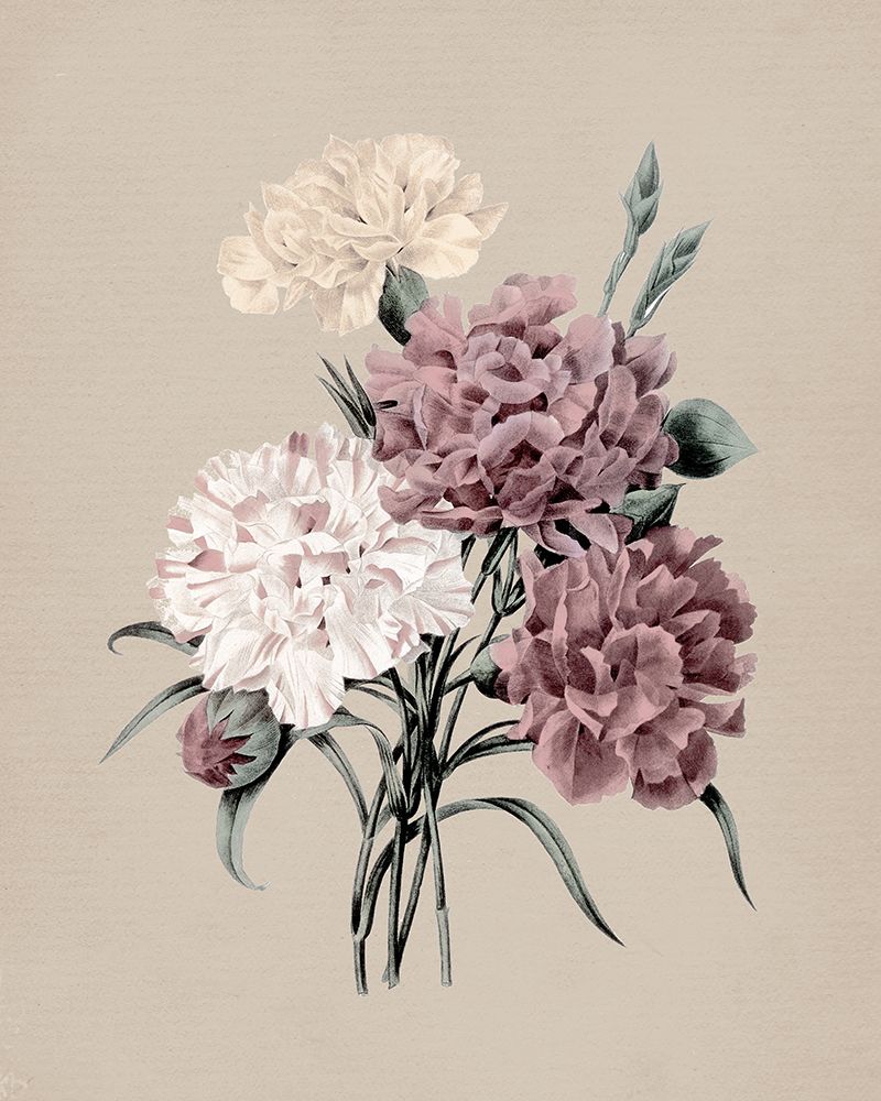 Antique Botanical I
