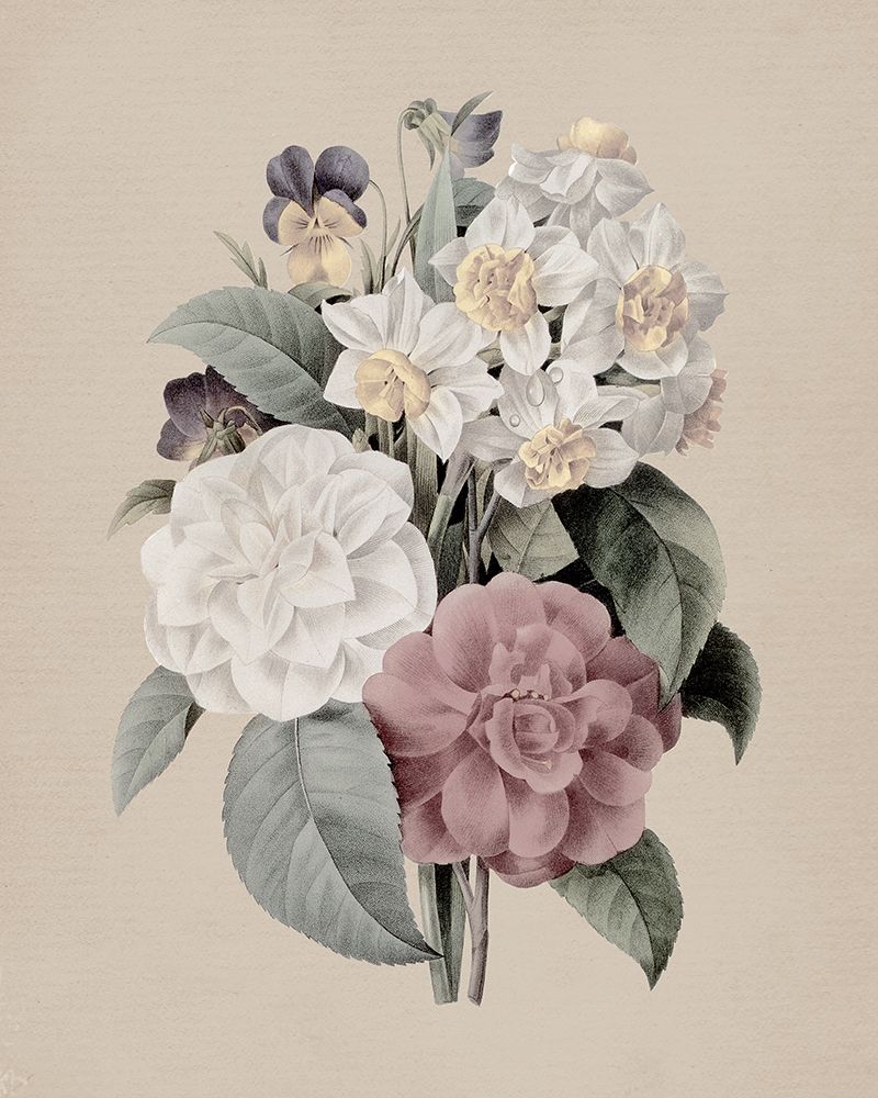 Antique Botanical II