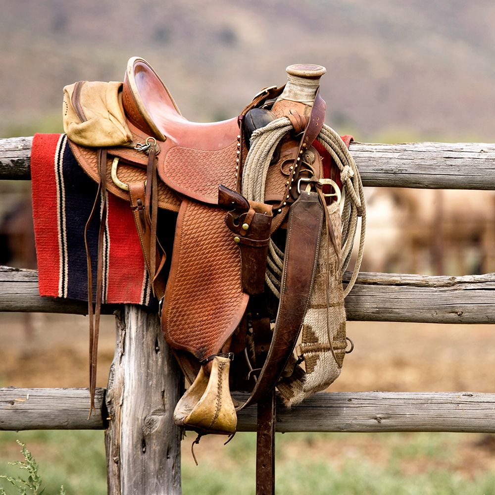 Saddle Up