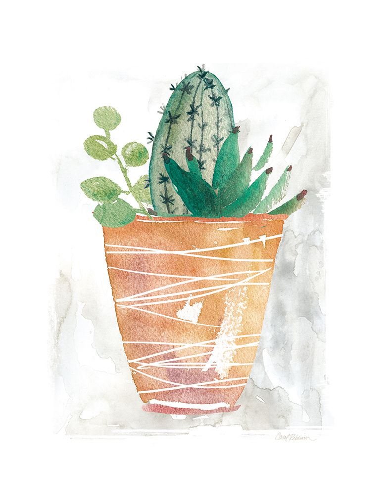 Boho Cactus