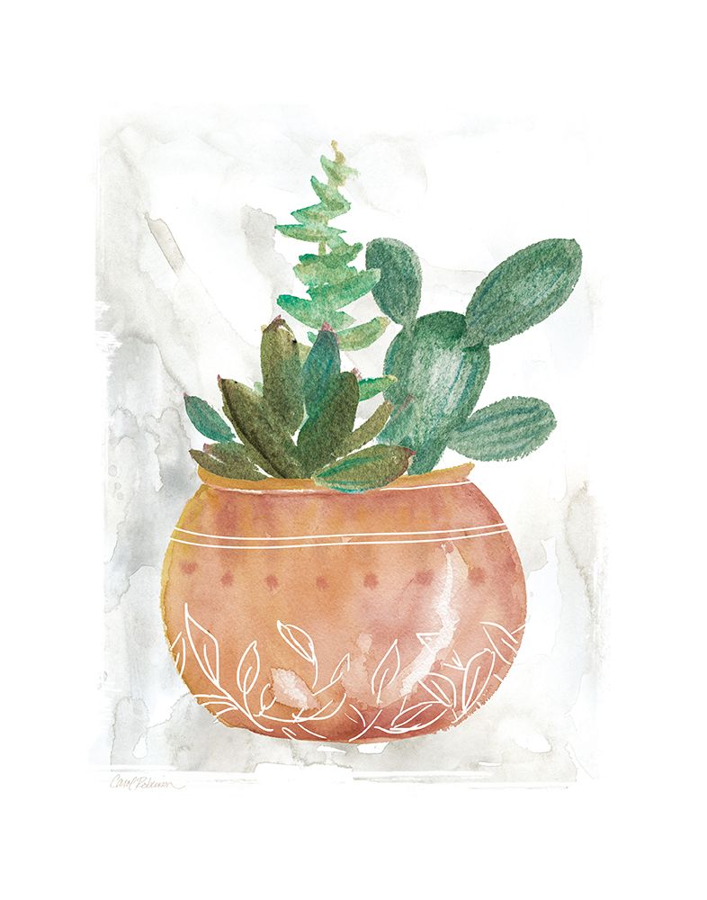 Boho Succulent