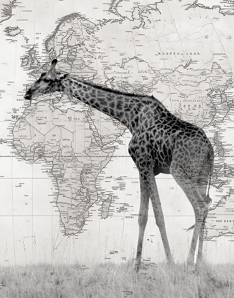 World Giraffe II