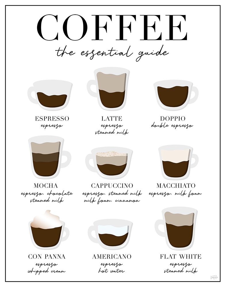 Essential Coffee Guide
