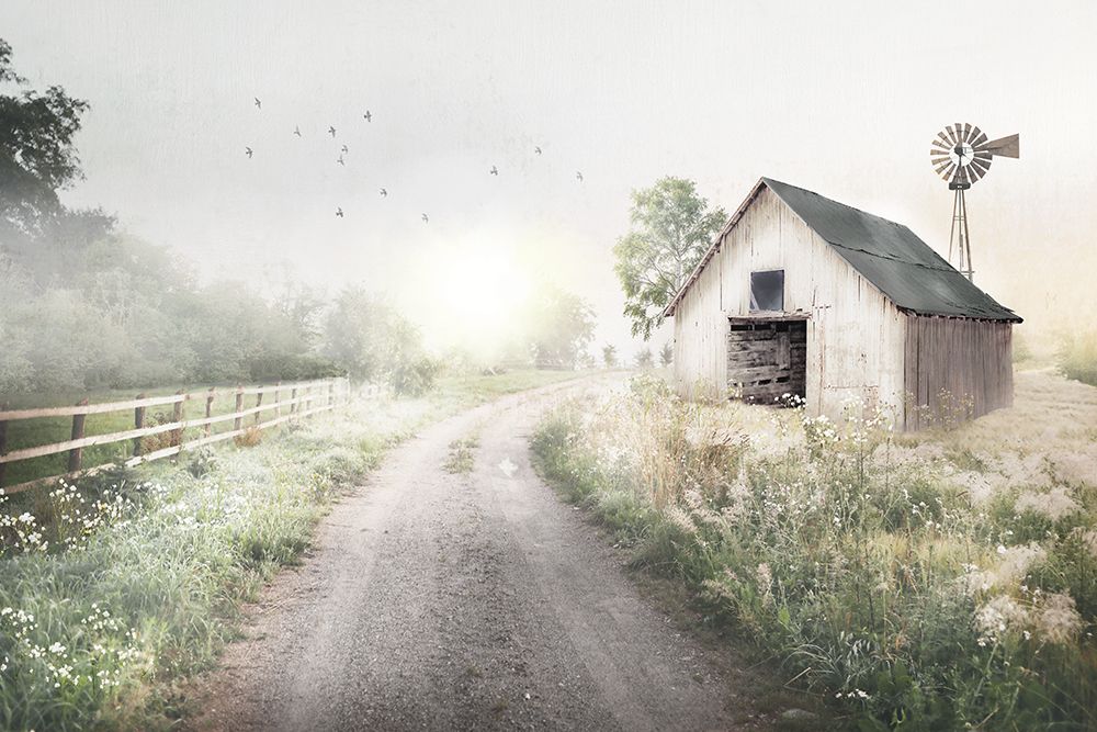 Country Lane