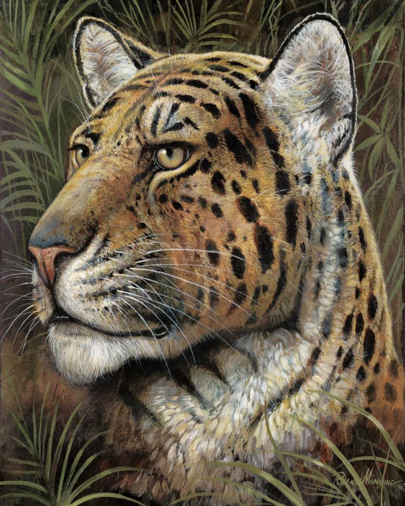 Spotted Beauty